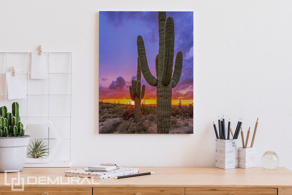 Puesta de sol sobre el valle de cactus Cuadros para la oficina Cuadros Demural