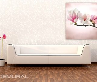 una magnolia floreciente posters flores carteles demural