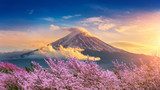Amanecer en montaña nevada con flores de cerezo