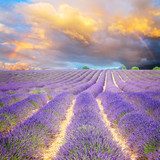 Atardecer lavanda con arcoíris