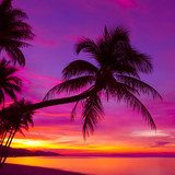 Atardecer tropical con siluetas de palmeras