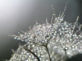 Brillo condensado en gota mágica