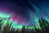 Ecos celestiales bajo la aurora