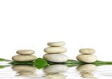 Equilibrio natural en tonos serenos