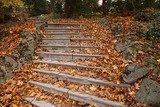 Escalera natural en otoño