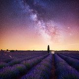 Lavanda bajo el mágico cielo estrellado