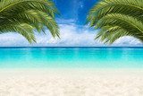 Paraíso tropical en tu espacio