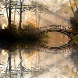 Reflejos otoñales en el bosque