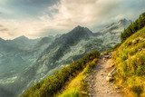 Sendero hacia la grandeza montañosa