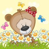 Tierno oso con mariposas en pradera