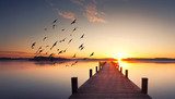 Tranquilidad al amanecer en maderas y agua