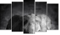 Pentaptych