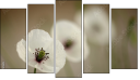 Pentaptych