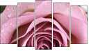 Pentaptych