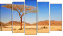 Pentaptych