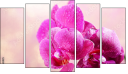 Pentaptych