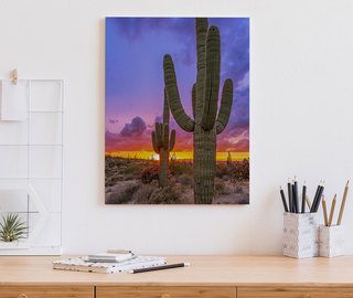 puesta de sol sobre el valle de cactus cuadros para la oficina cuadros demural