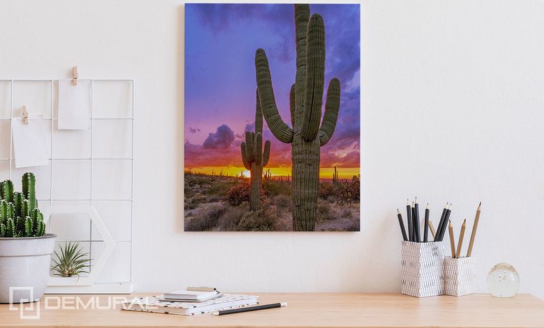 puesta de sol sobre el valle de cactus cuadros para la oficina cuadros demural