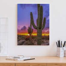 Puesta-de-sol-sobre-el-valle-de-cactus-cuadros-para-la-oficina-cuadros-demural