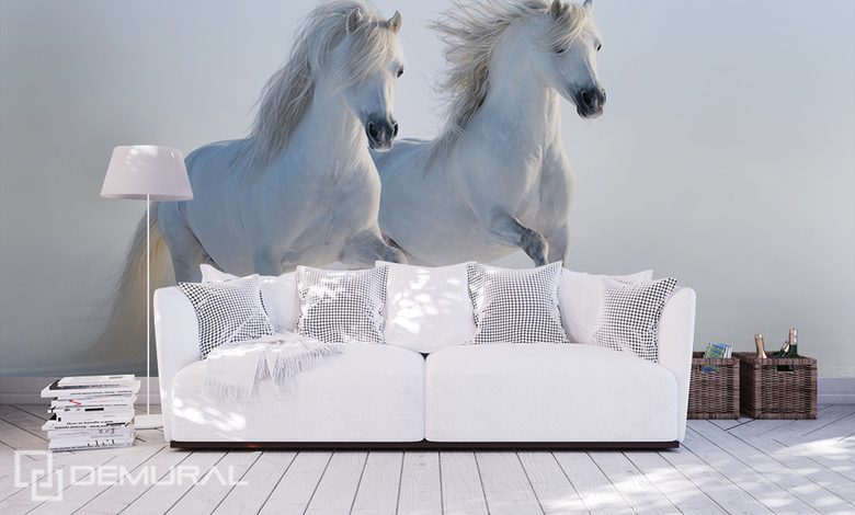 caballos blancos fotomurales animales fotomurales demural