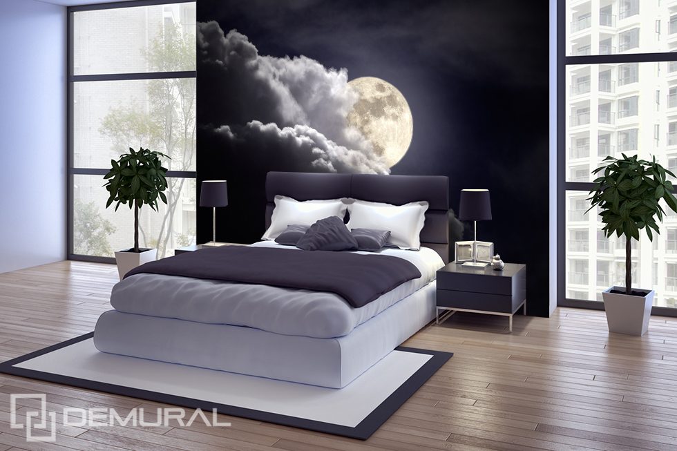 Luna de noche Fotomurales para dormitorio Fotomurales Demural