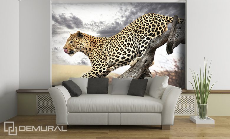 salto de guepardo fotomurales animales fotomurales demural