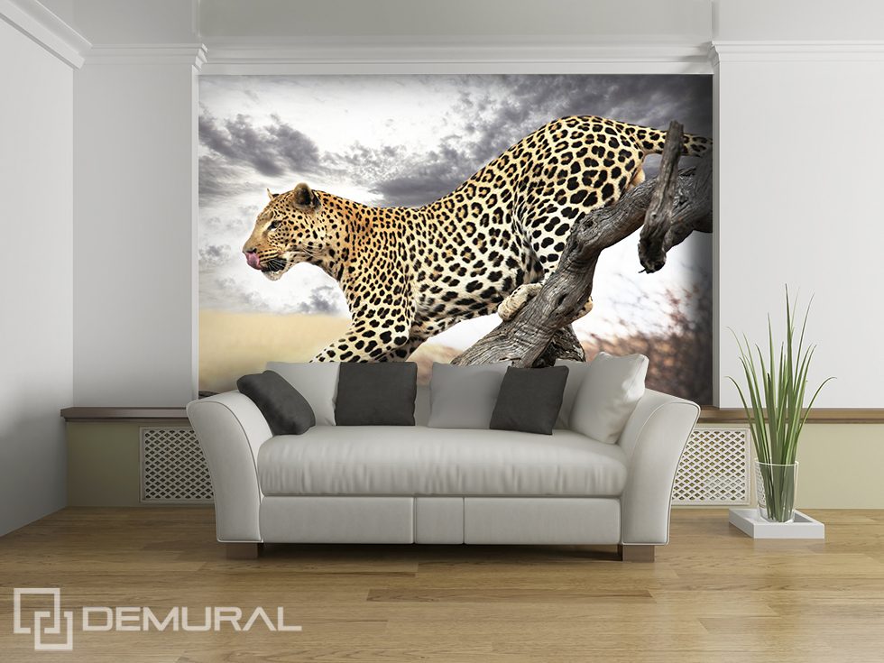 Salto de guepardo Fotomurales Animales Fotomurales Demural