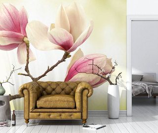 magnolia mayor nivel de delicadeza fotomurales flores fotomurales demural