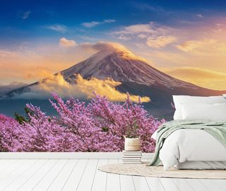 armonia volcanica con flor de cerezo fotomurales paisaje fotomurales demural