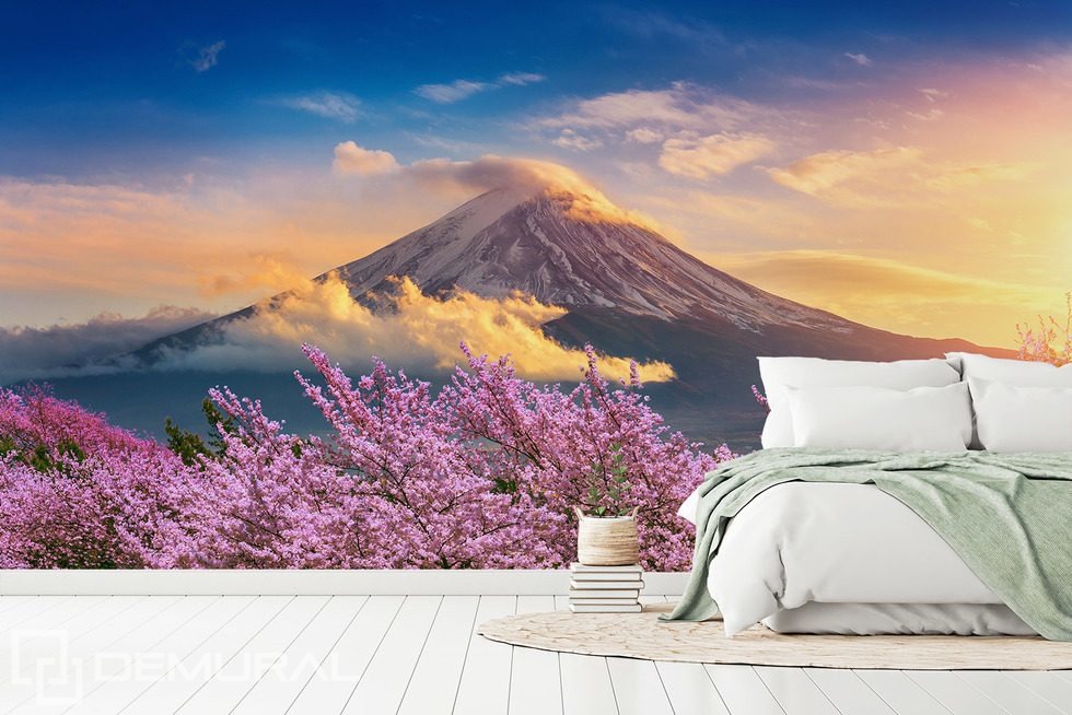 Armonía volcánica con flor de cerezo Fotomurales Paisaje Fotomurales Demural