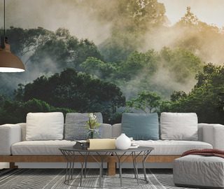 niebla matutina sobre la selva tropical fotomurales para salon fotomurales demural