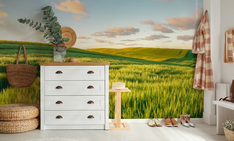 colinas soleadas al atardecer fotomurales paisaje fotomurales demural