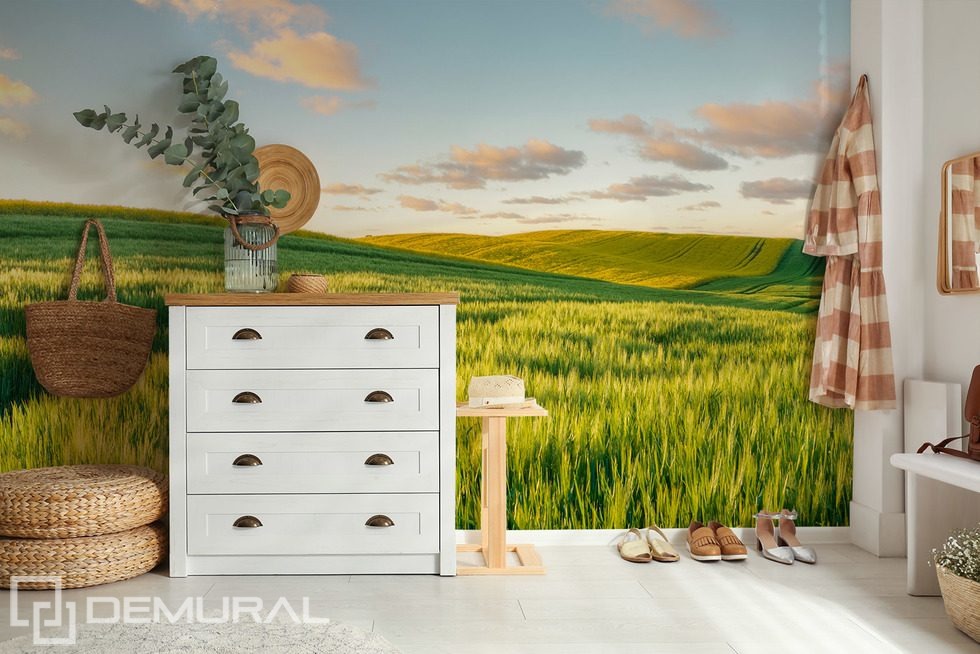 Colinas soleadas al atardecer Fotomurales Paisaje Fotomurales Demural