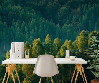 profundidad forestal con vista a los arboles fotomurales paisaje fotomurales demural