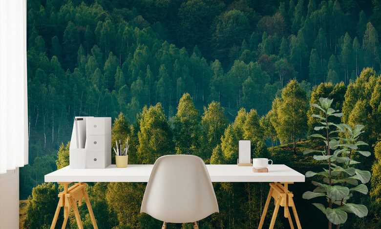 profundidad forestal con vista a los arboles fotomurales paisaje fotomurales demural