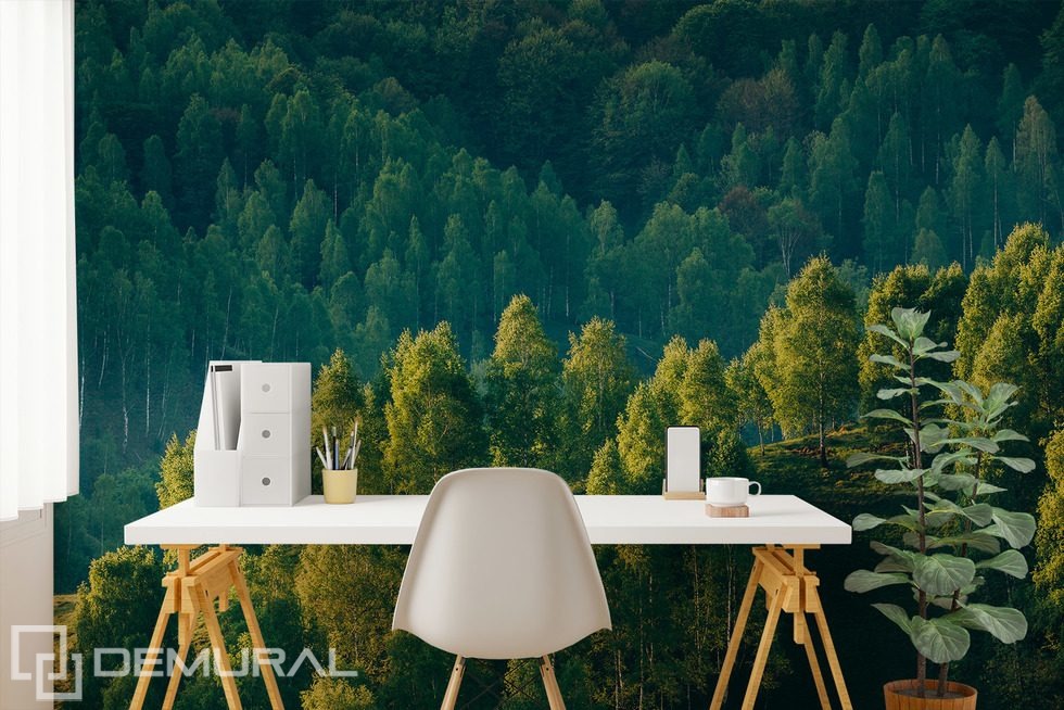 Profundidad forestal con vista a los árboles Fotomurales Paisaje Fotomurales Demural