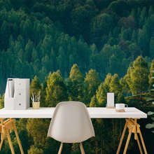 Profundidad-forestal-con-vista-a-los-arboles-fotomurales-paisaje-fotomurales-demural