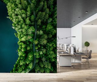 sendero forestal junto al agua visto desde arriba fotomurales para la oficina fotomurales demural