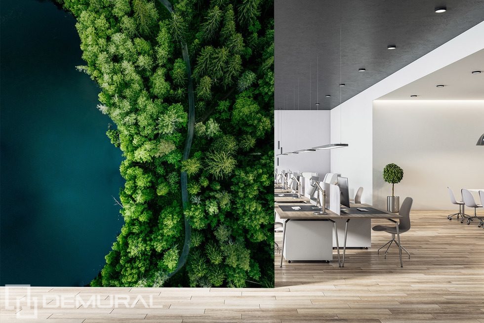 Sendero forestal junto al agua visto desde arriba Fotomurales para la oficina Fotomurales Demural