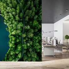 Sendero-forestal-junto-al-agua-visto-desde-arriba-fotomurales-para-la-oficina-fotomurales-demural