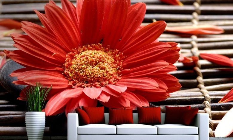 bajo un baldaquin de petalos fotomurales para salon fotomurales demural