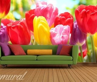jardin de tulipanes fotomurales flores fotomurales demural