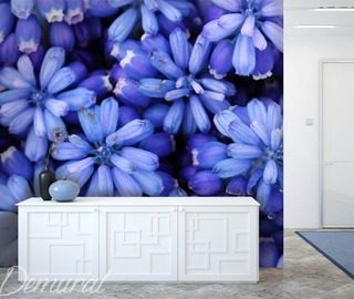 azul real fotomurales flores fotomurales demural