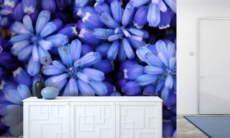 azul real fotomurales flores fotomurales demural