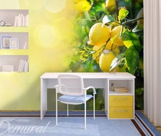 limon siciliano fotomurales para la habitacion de joven fotomurales demural