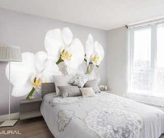 la blancura y orquidea jugosa fotomurales flores fotomurales demural