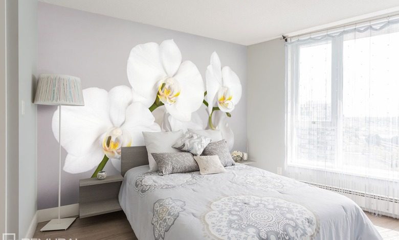 la blancura y orquidea jugosa fotomurales flores fotomurales demural